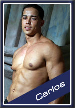 Carlos Male Stripper and Exotic Dancer