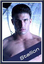 Stallion Male Stripper and Exotic Dancer